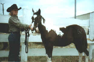 Record Weanling