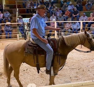 August Reserve Sale Horse